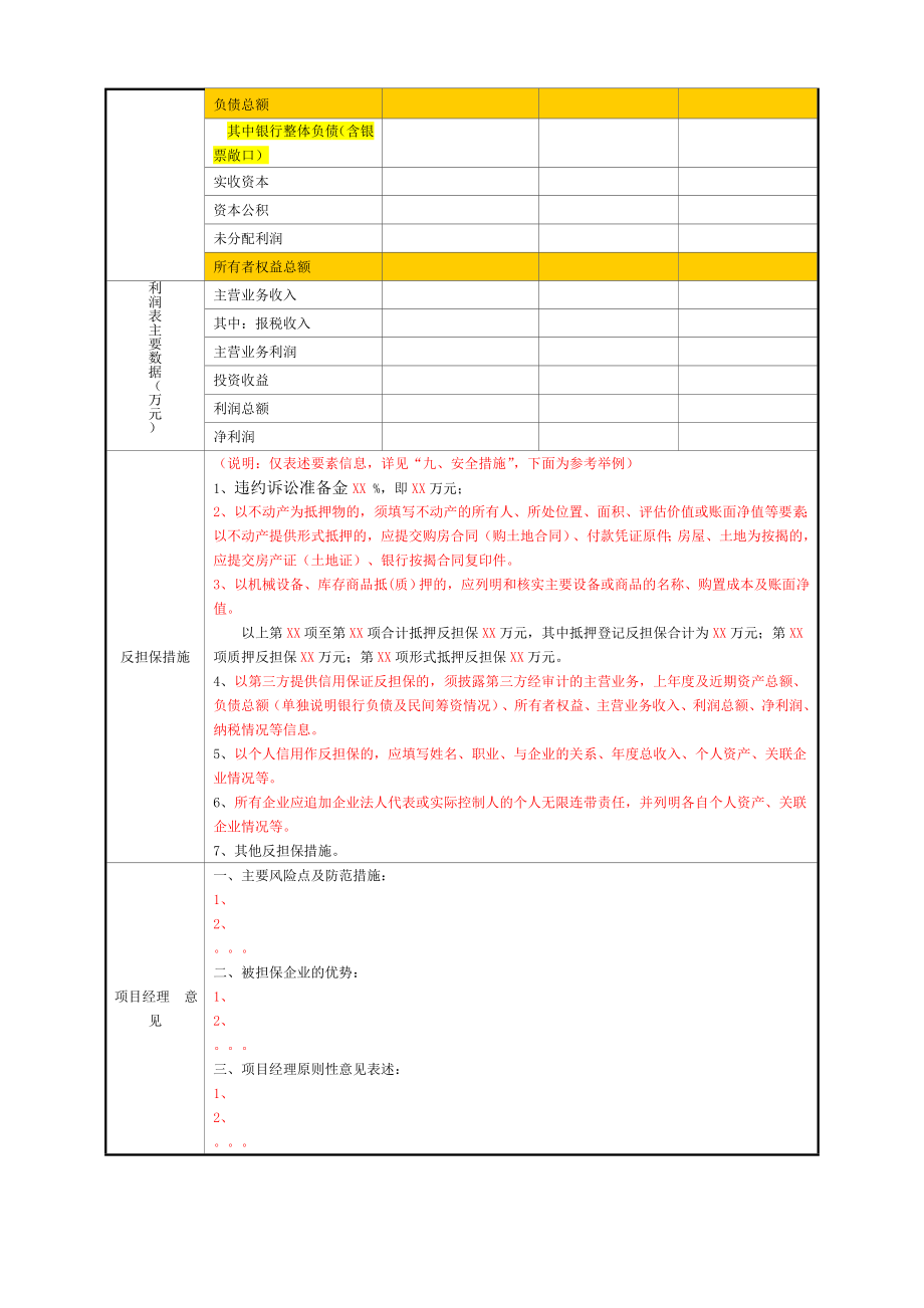 担保公司项目评审报告.doc_第3页