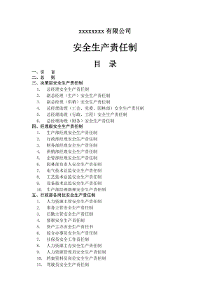 某公司整套安全生产责任制.doc