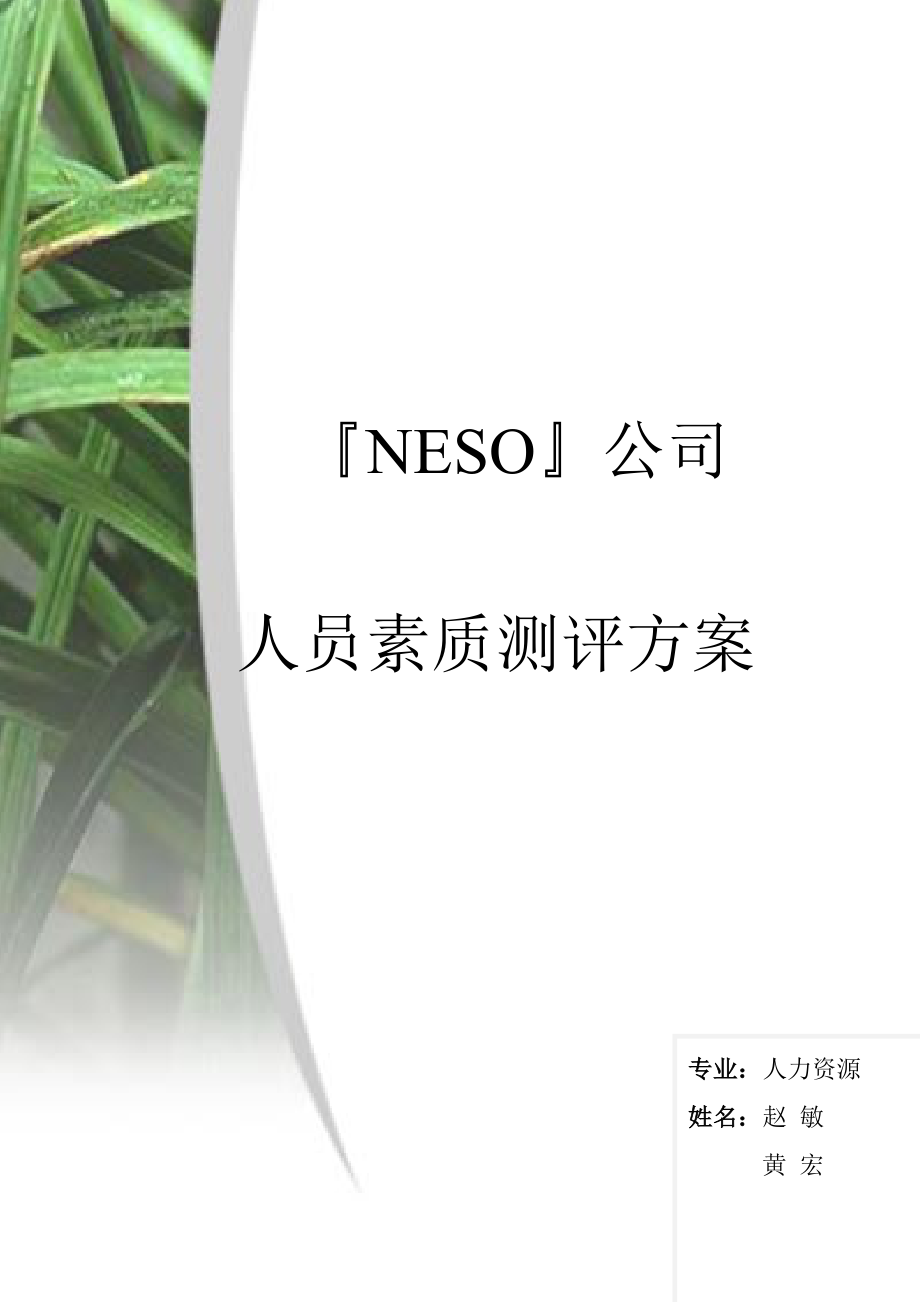 neso集团人员素质测评方案.doc_第1页