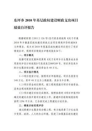 东坪乡基层政权建设财政支出项目绩效自评报告.doc