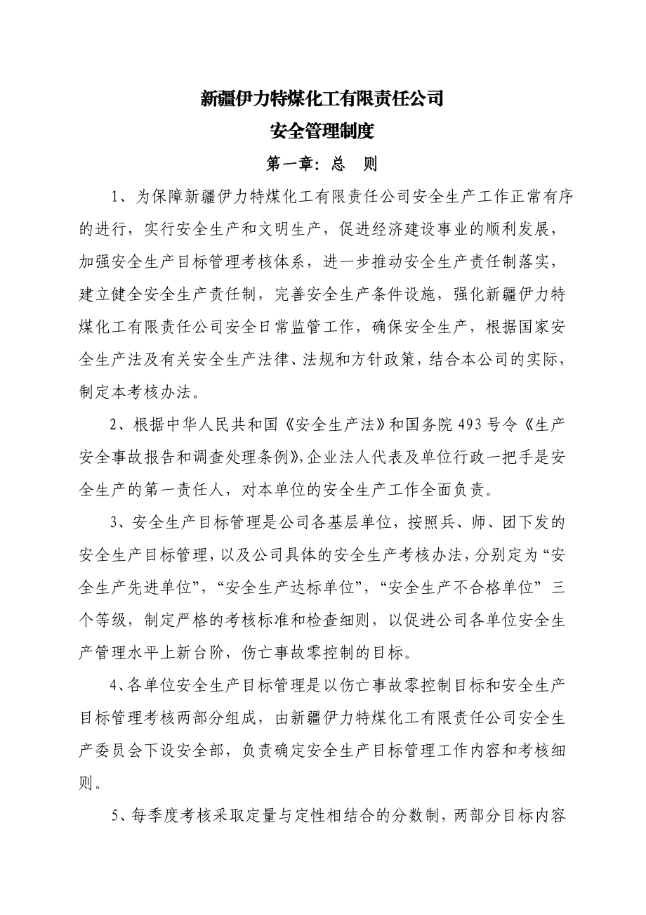 煤化工有限公司安全考核细则.doc_第1页