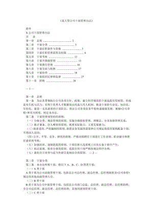 《某大型公司干部管理办法》 .doc