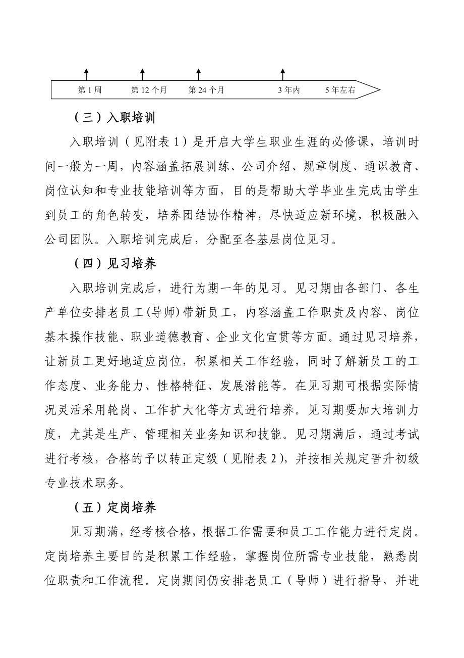 某某公司大学生培养方案.doc_第3页