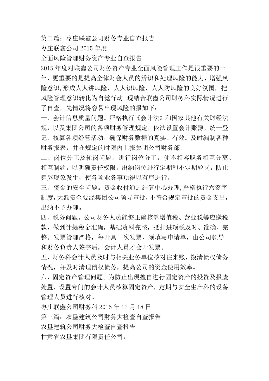 公司财务自查报告(精选多篇).doc_第2页