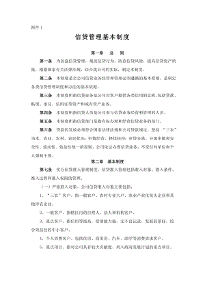 某小额贷款公司的管理制度.doc