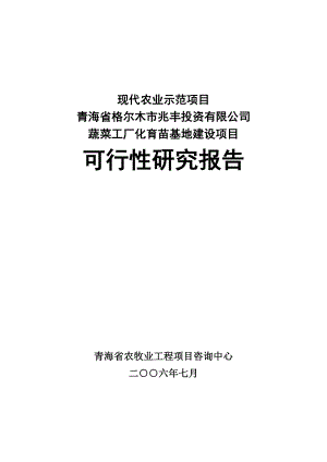 格尔木市兆丰投资有限公司蔬菜工厂化育苗基地建设项目可行性研究报告28272.doc