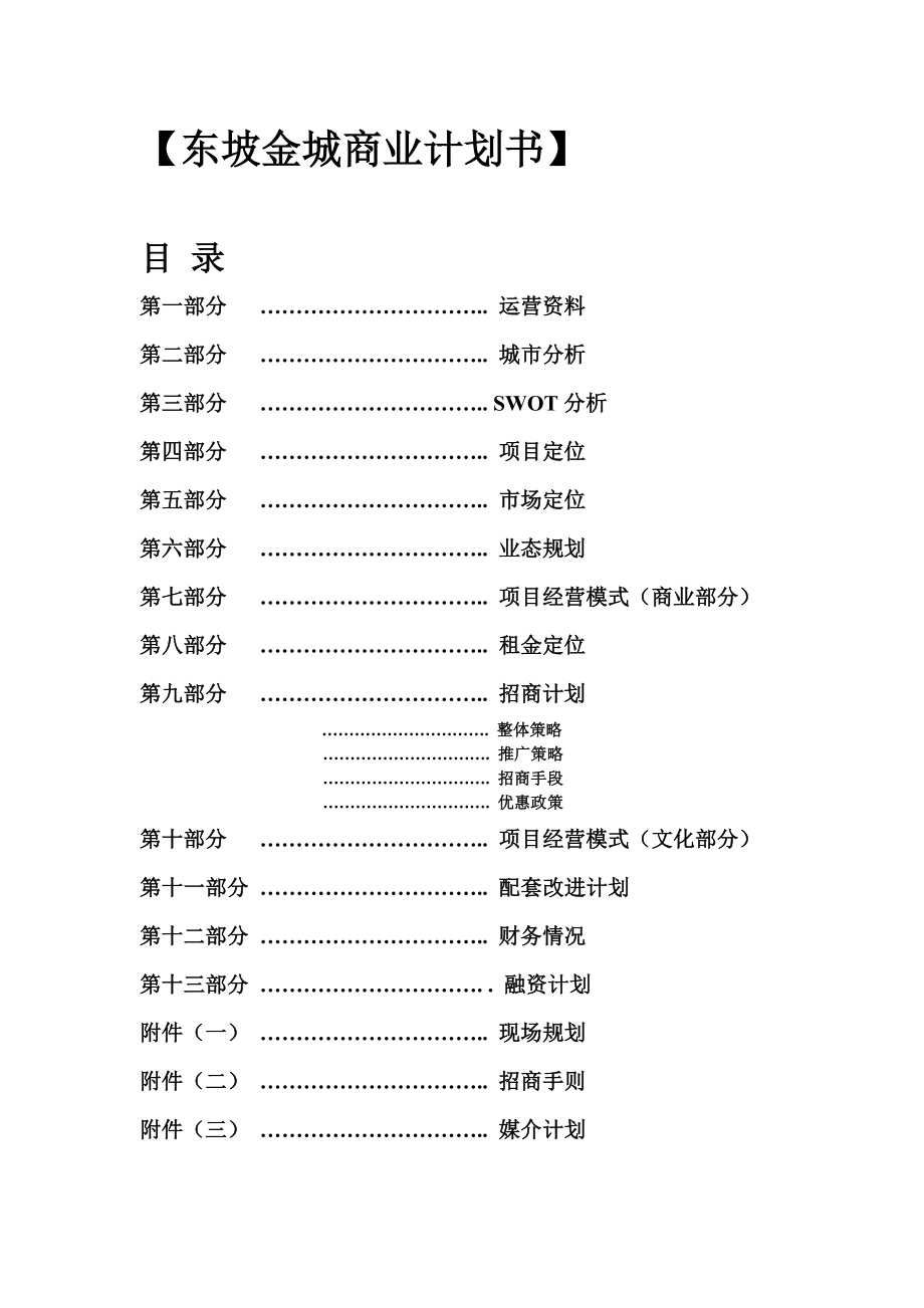 东坡金城商业计划书(doc14).doc_第1页