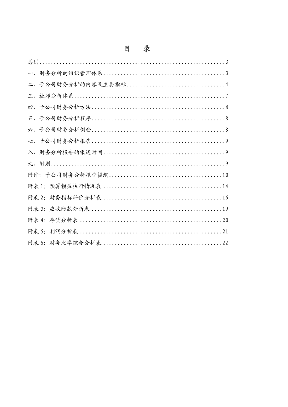 天能集团子公司财务分析制度与分析报告提纲[天能集团母子公司管控体系].doc_第2页