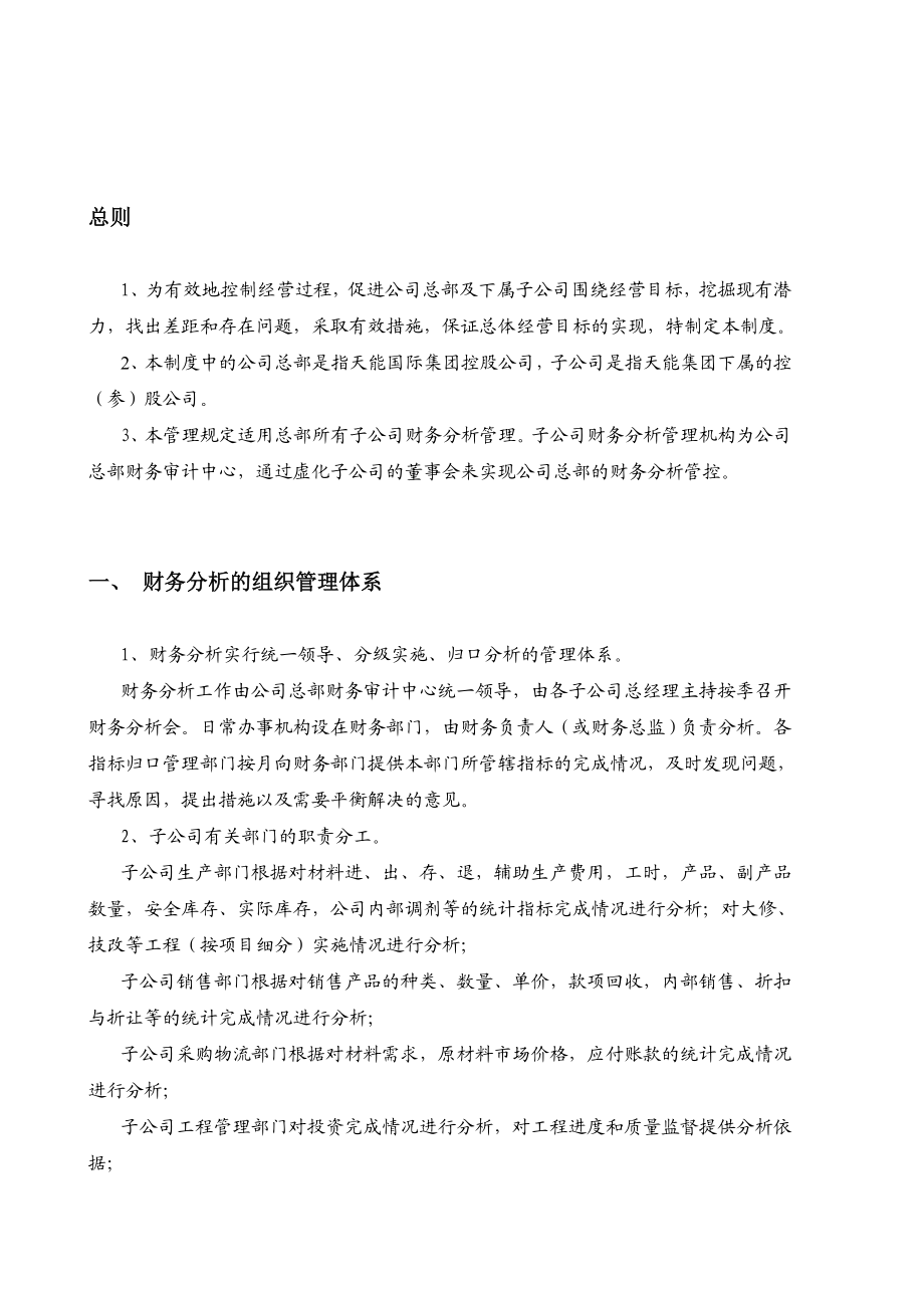 天能集团子公司财务分析制度与分析报告提纲[天能集团母子公司管控体系].doc_第3页