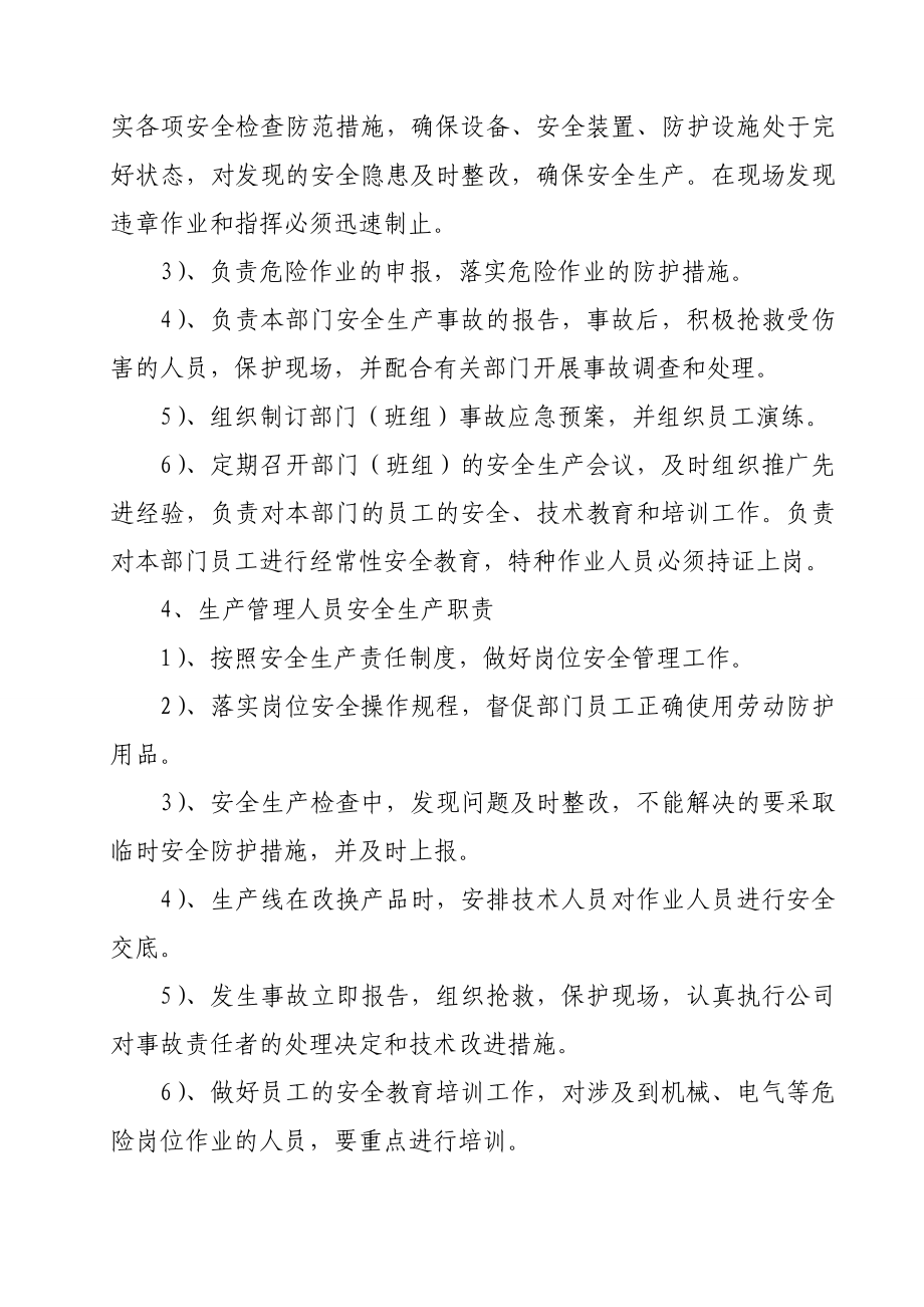 公司标准化管理文件安全生产责任制.doc_第3页