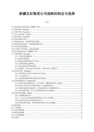 新疆友好集团公司战略的制定与选择毕业论文.doc