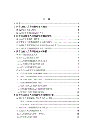 工商管理民营企业人力资源管理问题及对策研究.doc