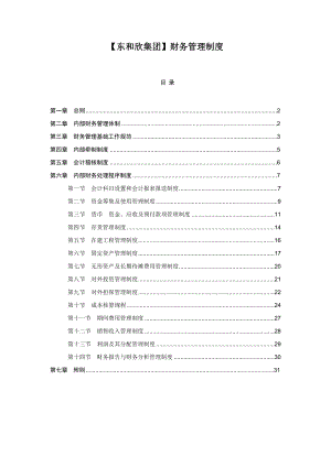 东和欣集团财务管理制度.doc