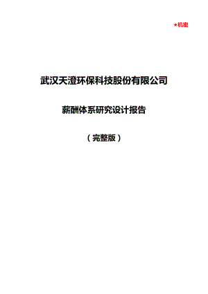 武汉天澄环保科技股份有限公司薪酬体系研究设计报告（完整版） .doc