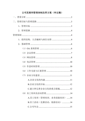 公司发展和管理体制改革方案.doc