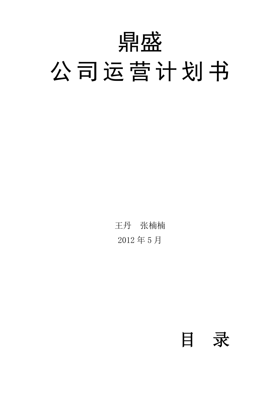 鼎盛公司计划书.doc_第1页