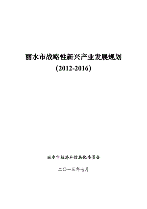 丽水市战略性新兴产业发展规划（）.doc