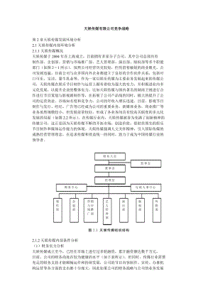 天娱传媒有限公司竞争战略.doc