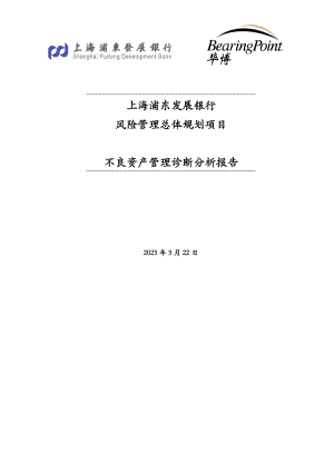 风险管理总体规划项目不良资产管理诊断分析报告.doc