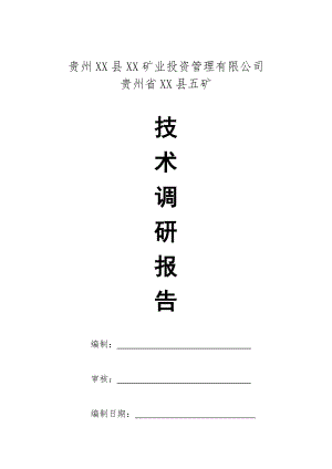 某集团公司并购矿井技术调研报告.doc