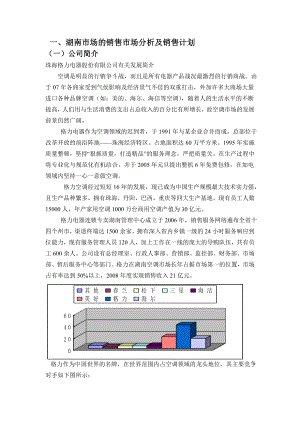 湖南格力的销售计划.doc