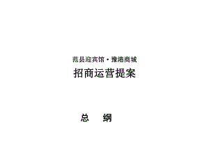 招商运营提案.doc