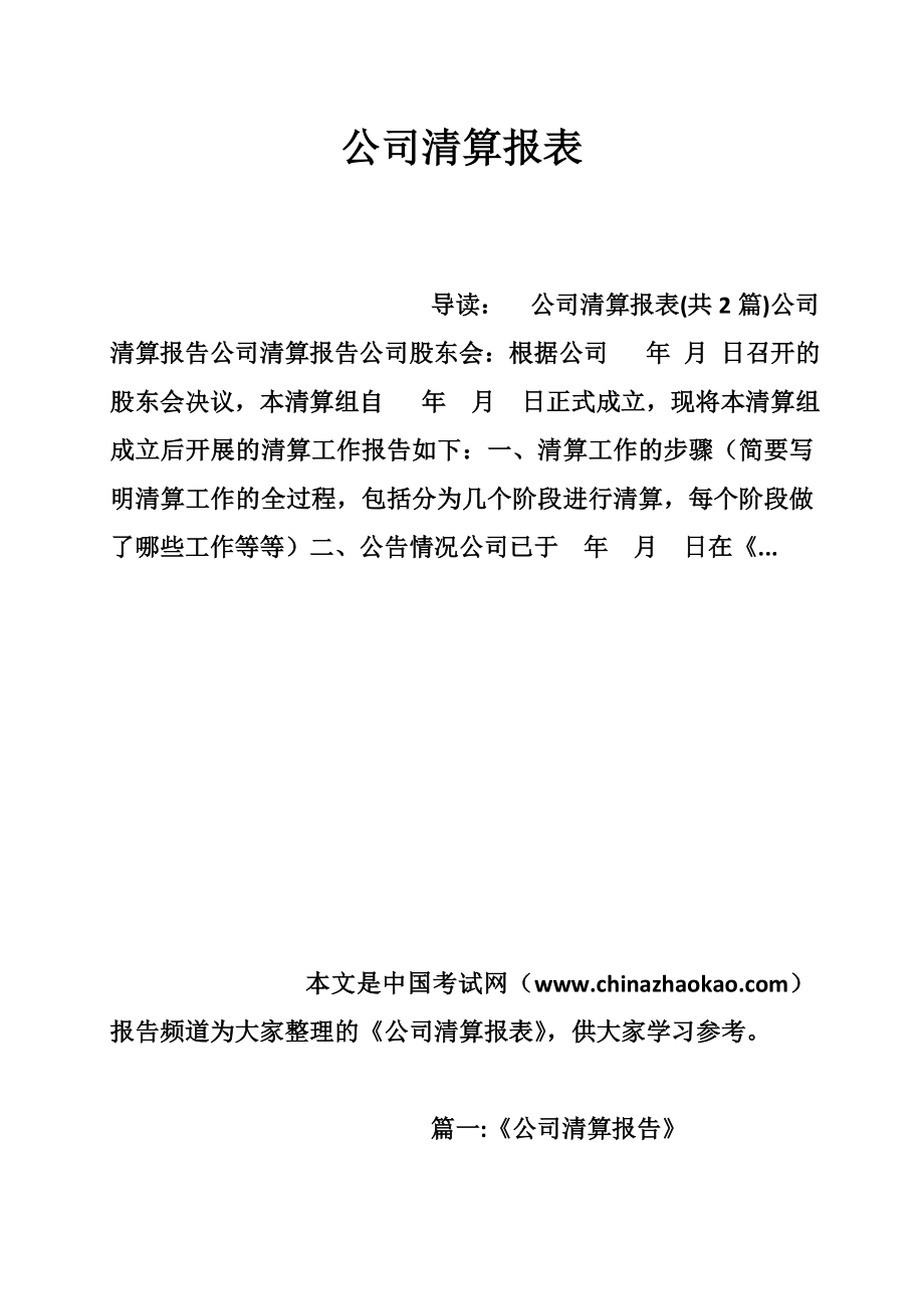 公司清算报表.doc_第1页