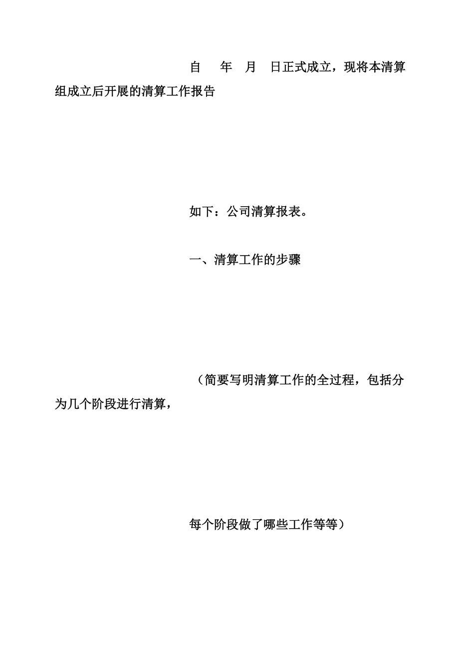 公司清算报表.doc_第3页