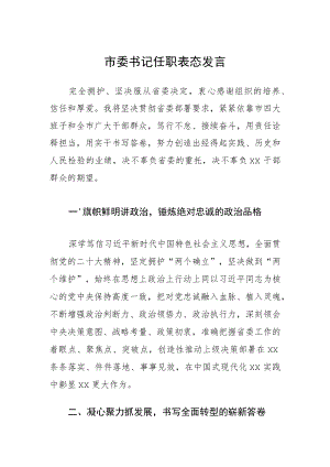 市委书记任职表态发言.docx