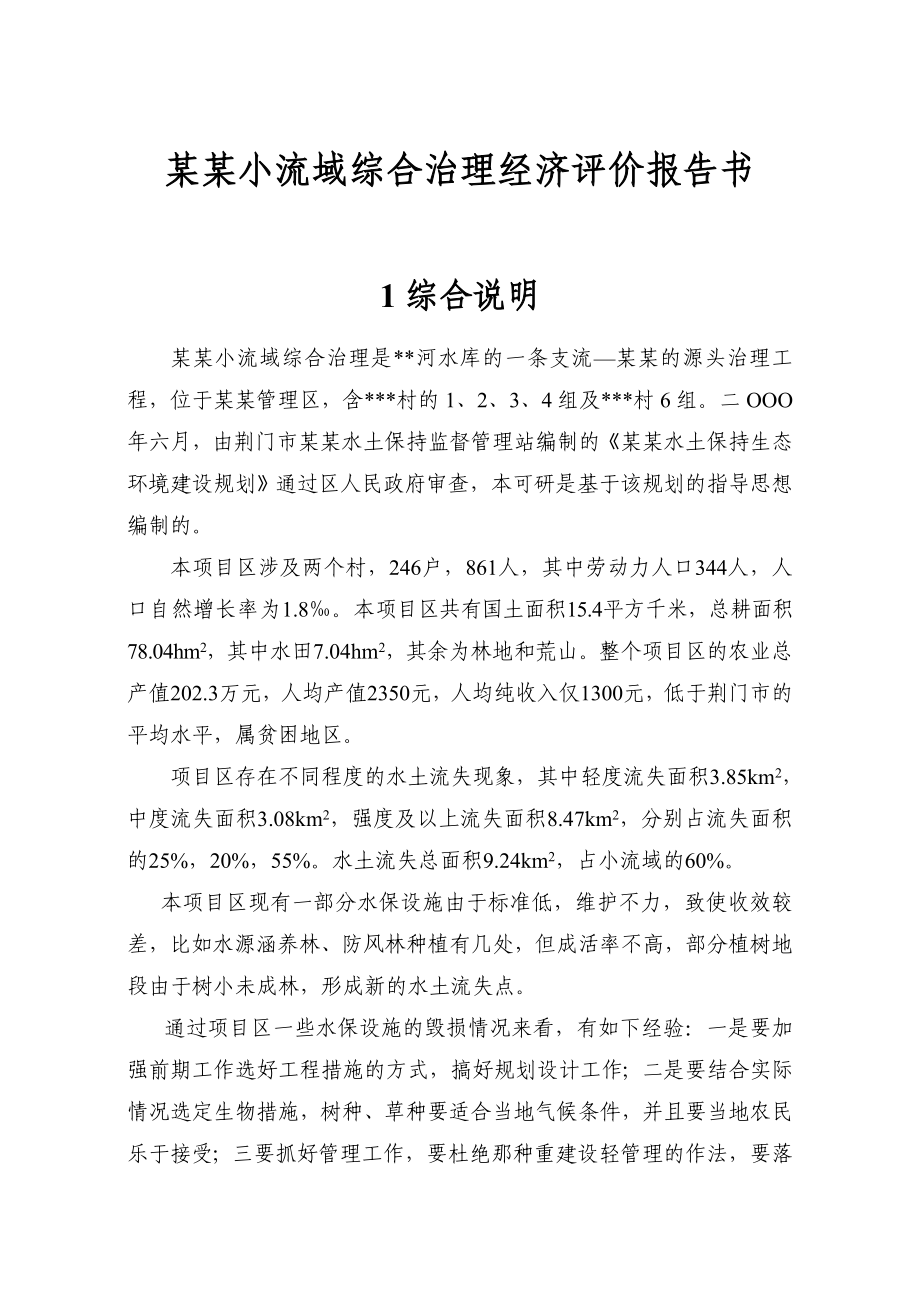 某某小流域综合治理经济评价报告书.doc_第1页