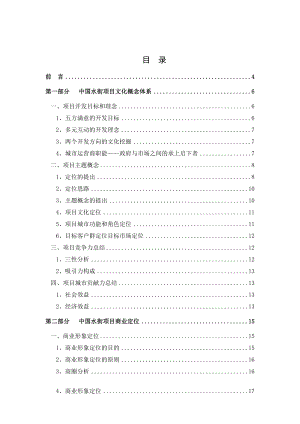 中国水街项目商业运营推广方案.doc