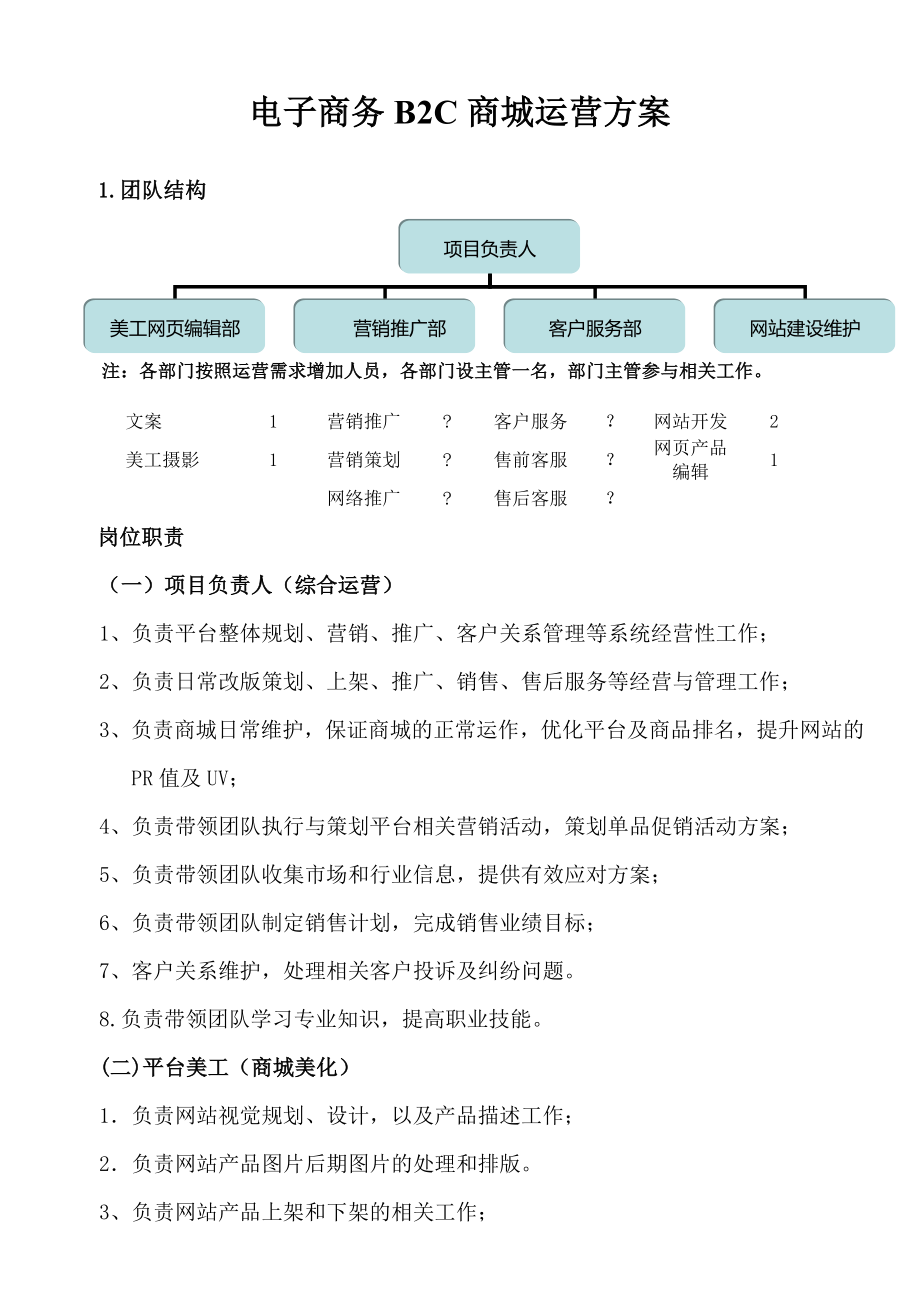 电商运营计划.doc_第1页