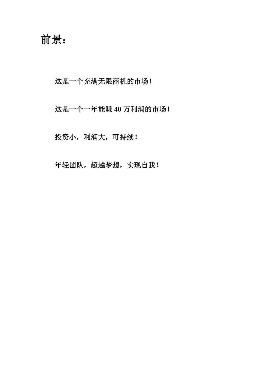 某地区农村建材销售方案.doc_第2页