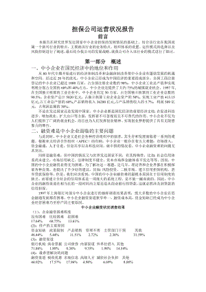 担保公司运营状况报告a.doc