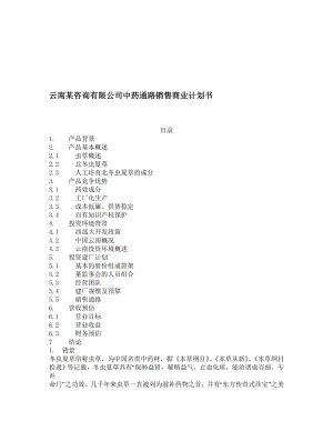 云南某咨询有限公司中药通路销售商业计划书.doc