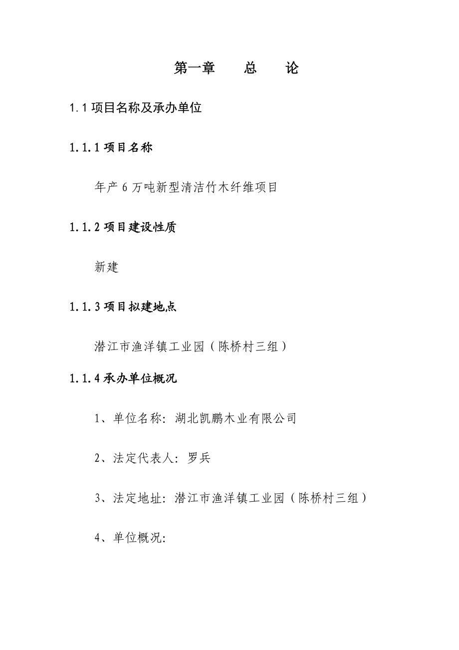 产6万吨新型清洁竹木纤维项目可行性研究报告.doc_第2页