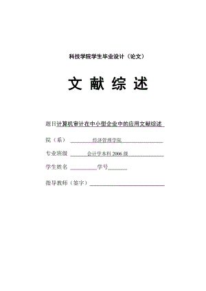 287.D计算机审计在中小型企业中的应用 文献综述.doc