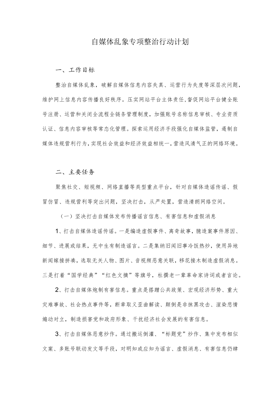 自媒体乱象专项整治行动计划.docx_第1页