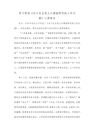 学习贯彻《关于在全党大兴调查研究的工作方案》心得体会.docx