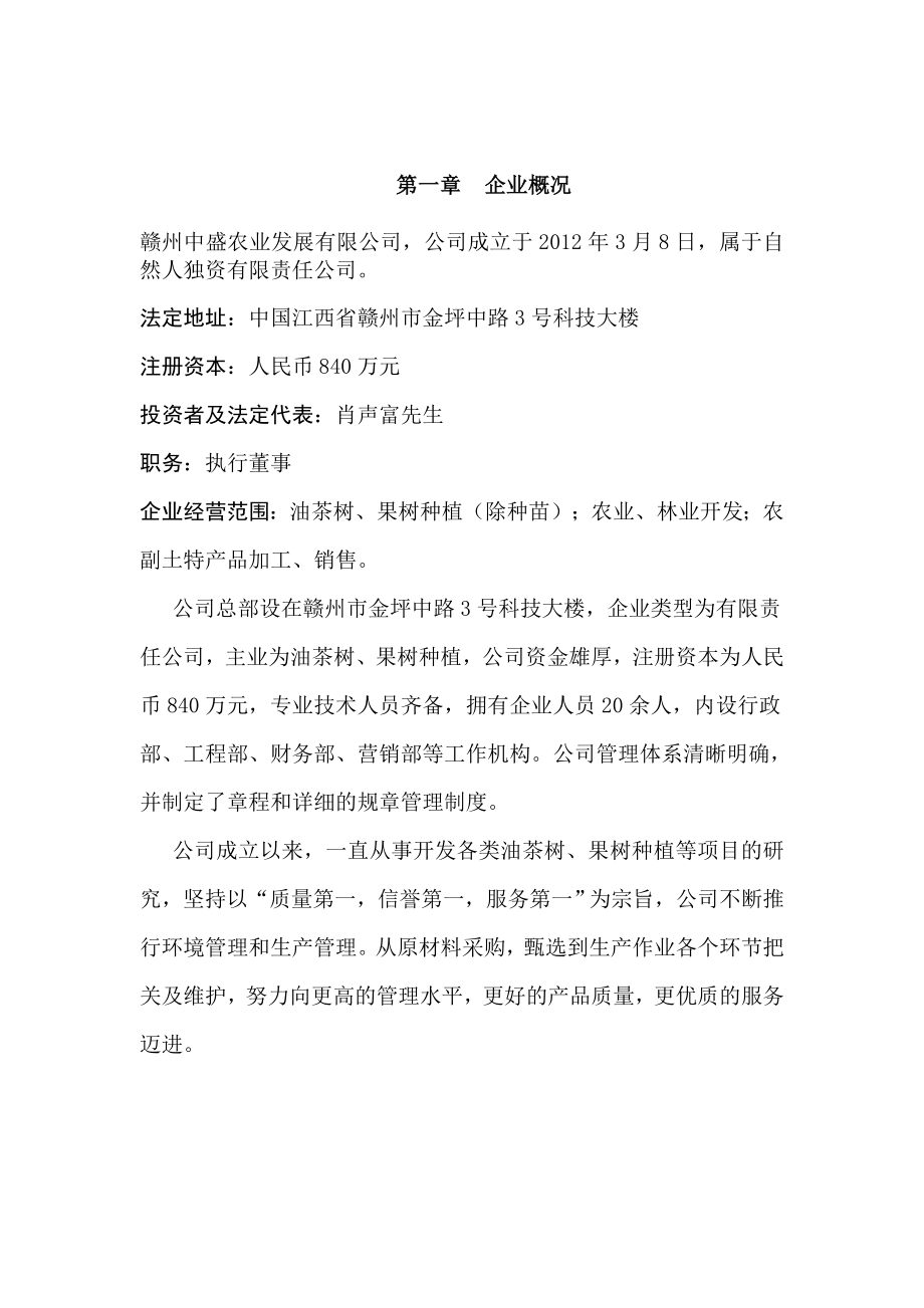 公司运营计划书模板.doc_第3页