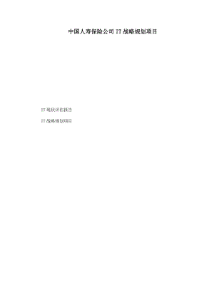 中国人寿保险公司IT战略规划项目.doc