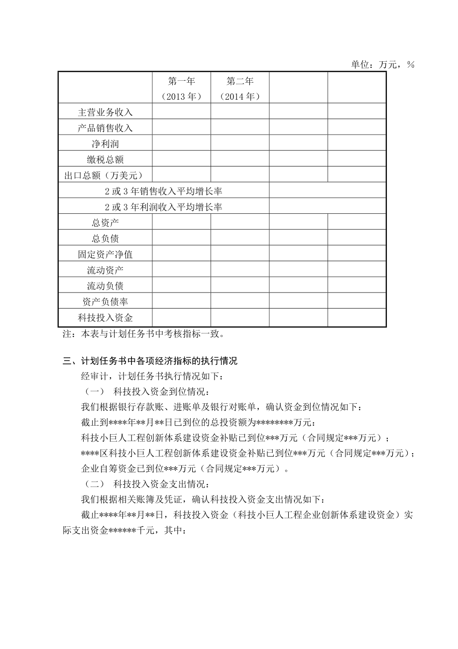 上海市科技小巨人工程项目验收专项审计报告.doc_第2页