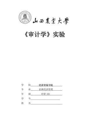 审计学实验审计试验实验作业.doc