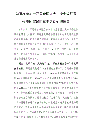 （3篇）党员学习2023年在参加十四届全国人大一次会议江苏代表团审议时重要讲话精神心得体会范文.docx