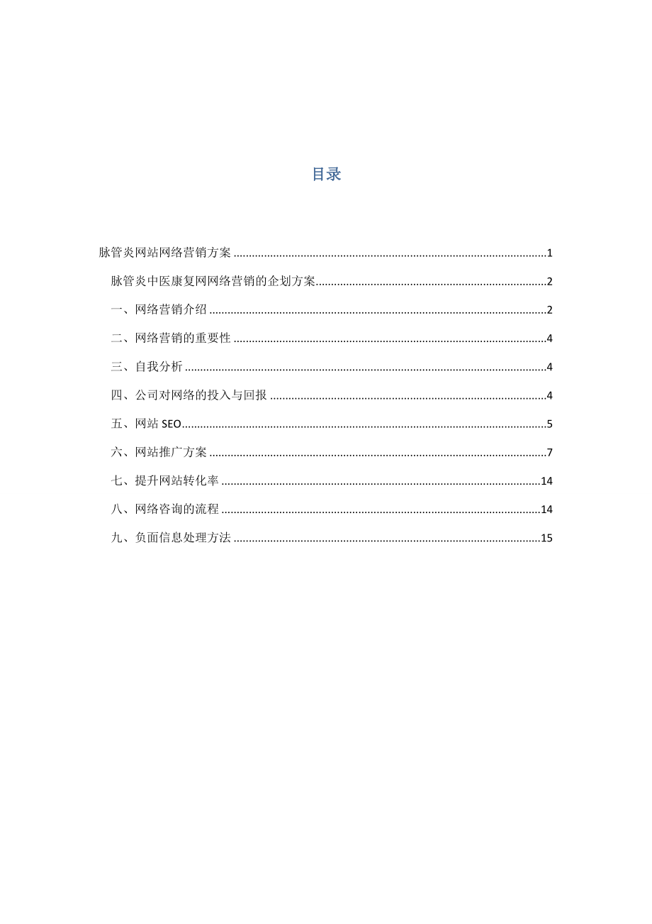 新建网站运营方案.doc_第2页