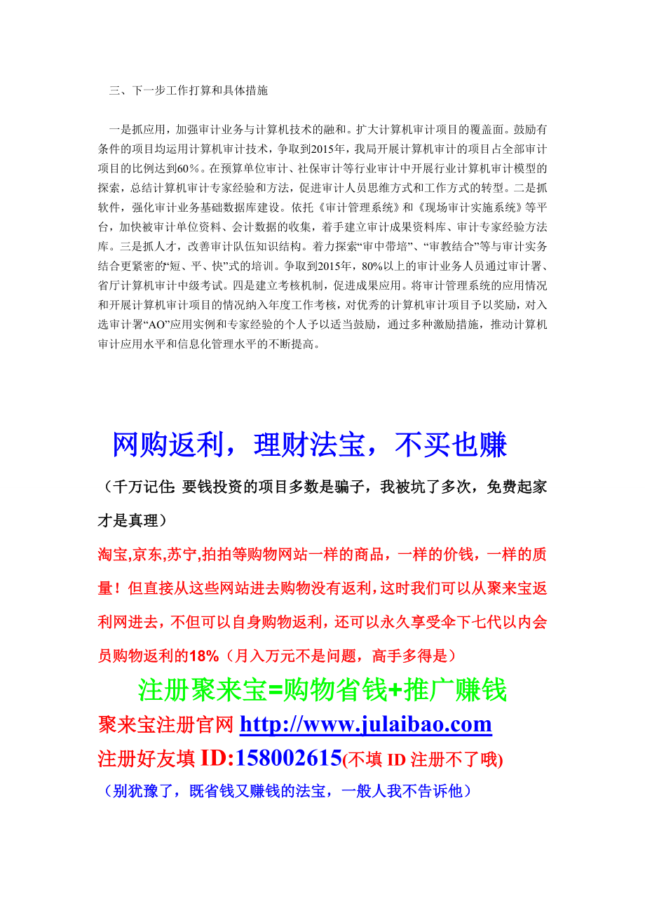 提升审计信息化建设工作汇报.doc_第2页