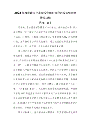 （8篇）2023年推进建立中小学校党组织领导的校长负责制情况总结.docx