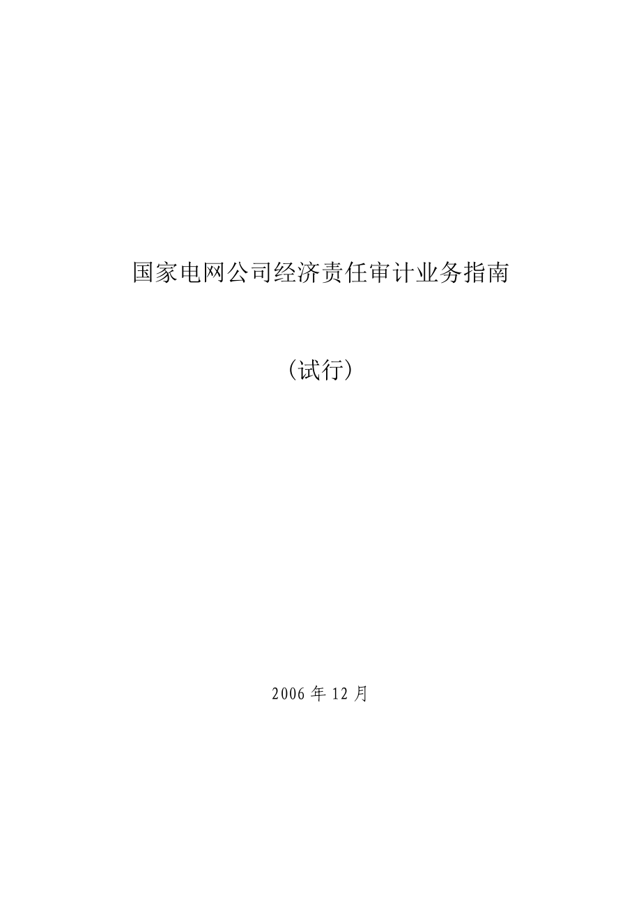 国家电网公司经济责任审计业务指南.doc_第3页