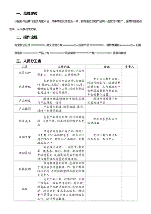 淘宝运营策划书.doc