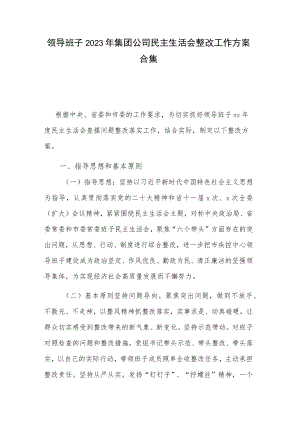 领导班子2023年集团公司民主生活会整改工作方案合集.docx